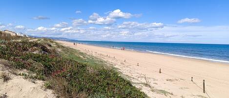 Playa