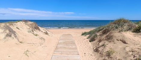 Strand