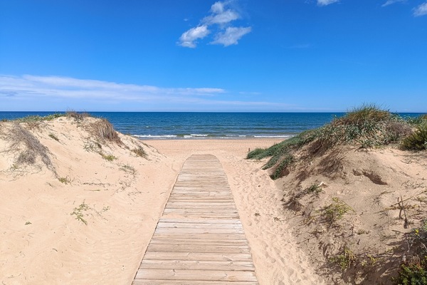 Strand