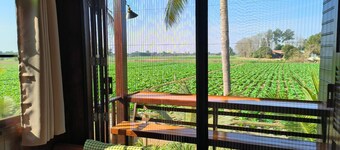 Charming Thai-style villa in lush greenery 10 mins from bus station near city.