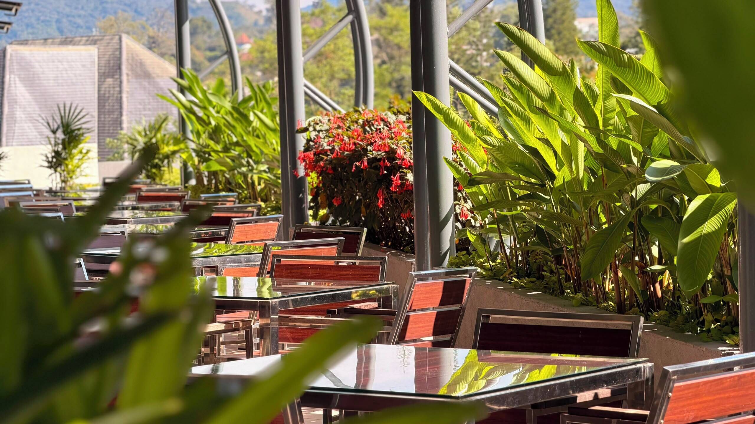 Un espace extérieur aménagé avec des tables et des chaises, entouré d’une végétation luxuriante et de plantes en fleurs.