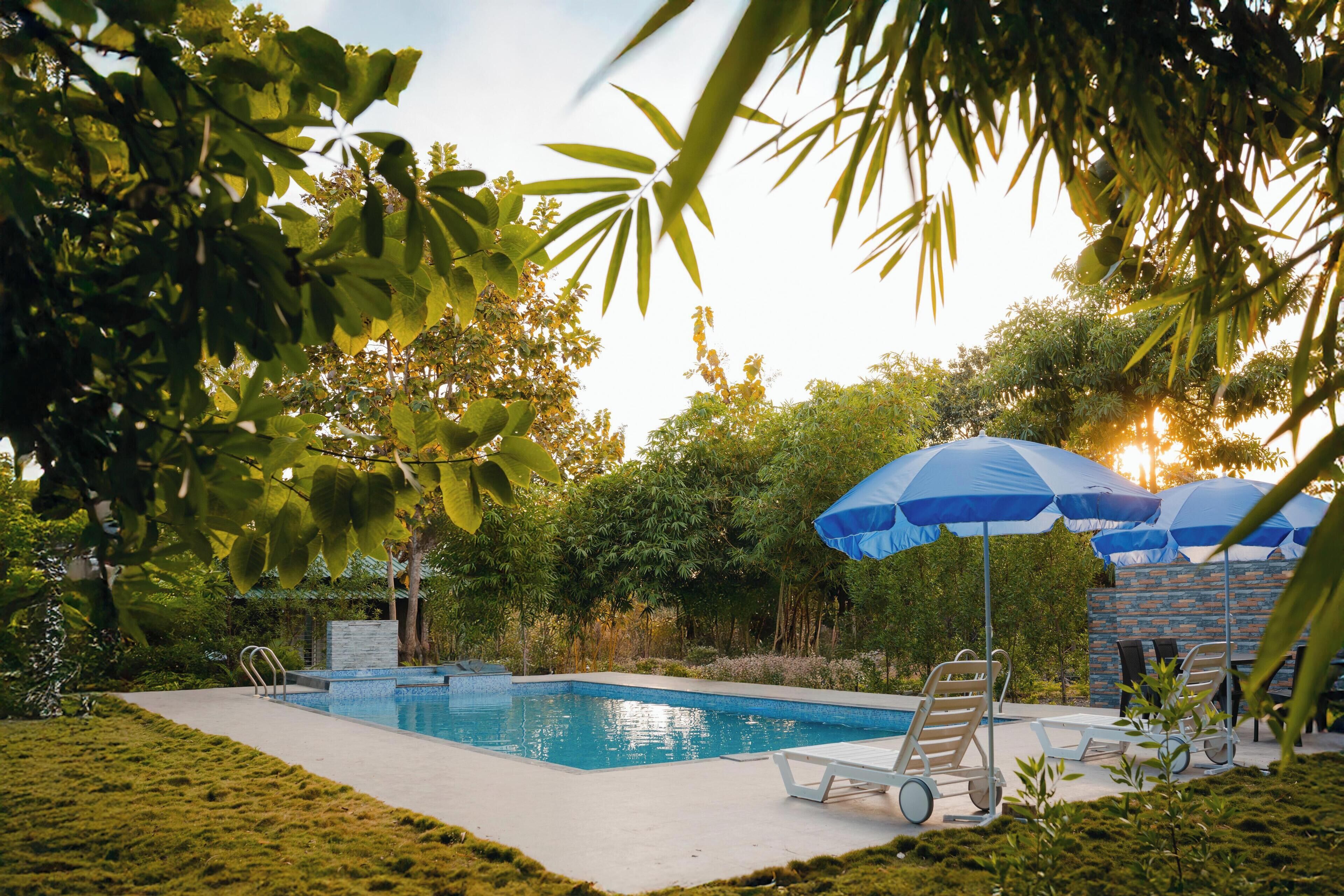 A swimming pool with lounge chairs and umbrellas, surrounded by lush greenery.