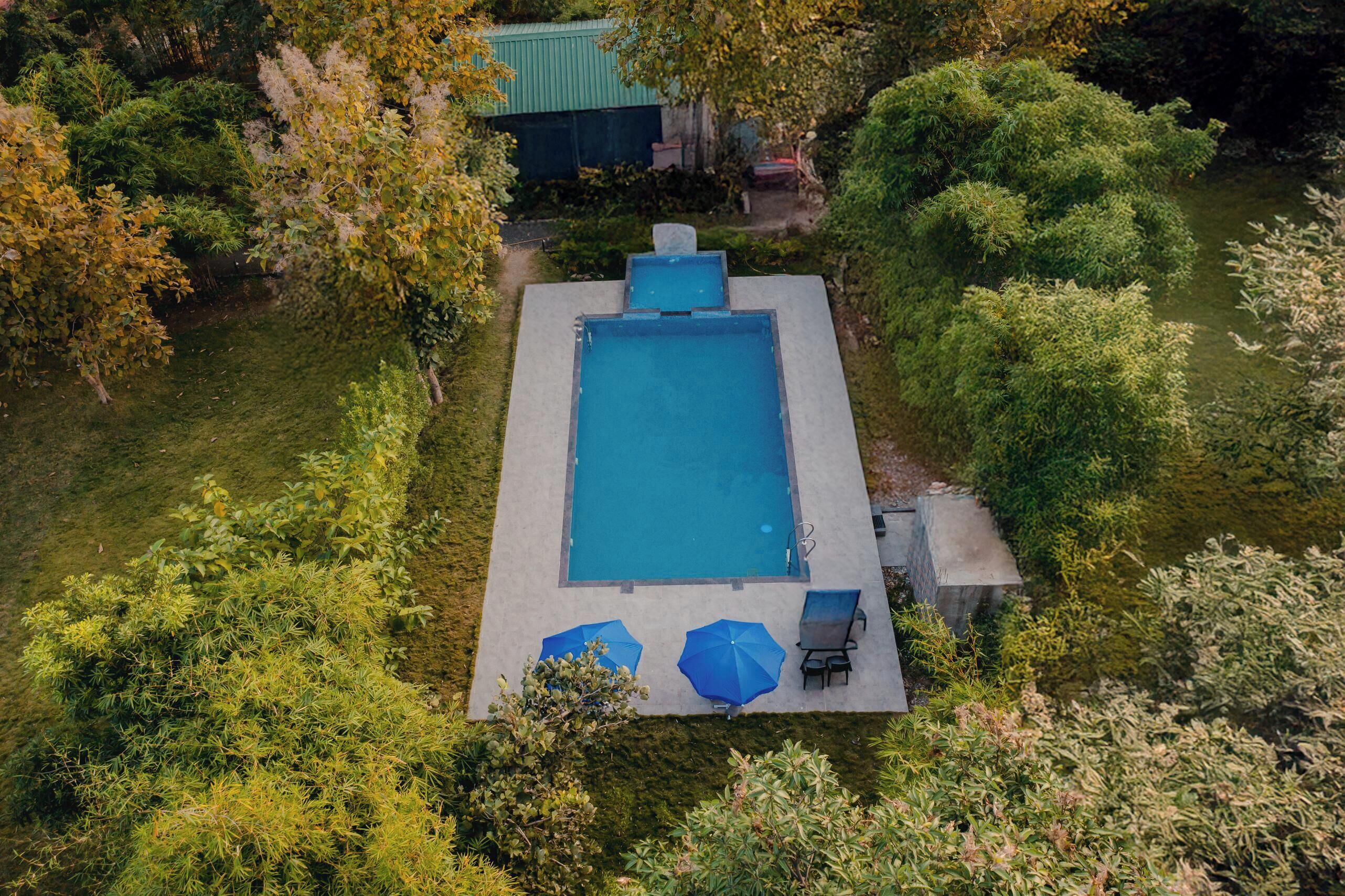An aerial view of a rectangular swimming pool with two blue umbrellas and a chair, surrounded by lush greenery and trees.