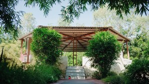 A covered pavilion with a tiled roof, surrounded by lush greenery and a staircase leading up to it. - Wagharanya Resort (Bhadravathi)