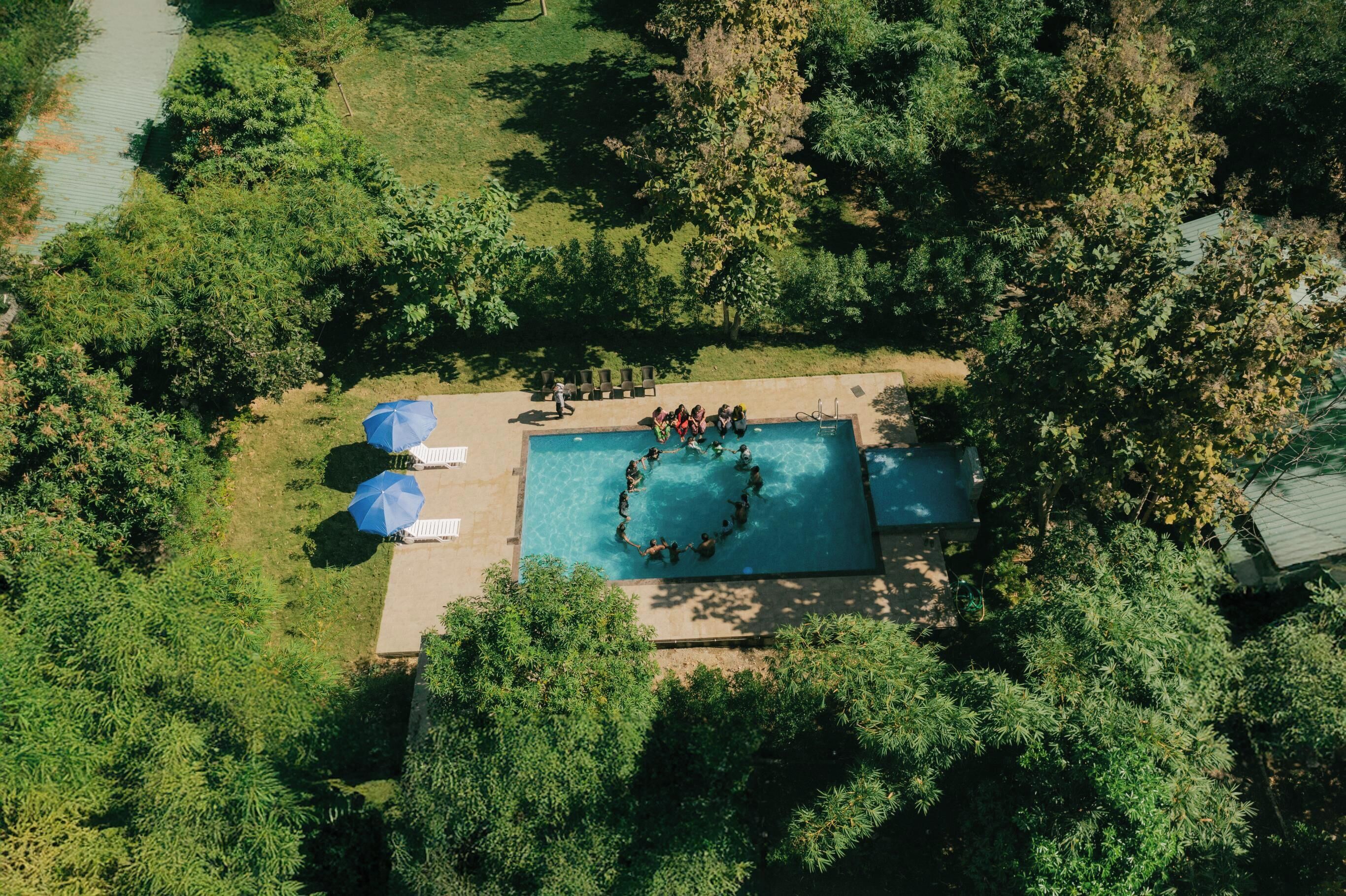 Vista aérea de una piscina rodeada de exuberante vegetación, con sillones de descanso y sombrillas cerca.