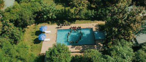 Vista aérea de una piscina rodeada de exuberante vegetación, con sillones de descanso y sombrillas cerca.
