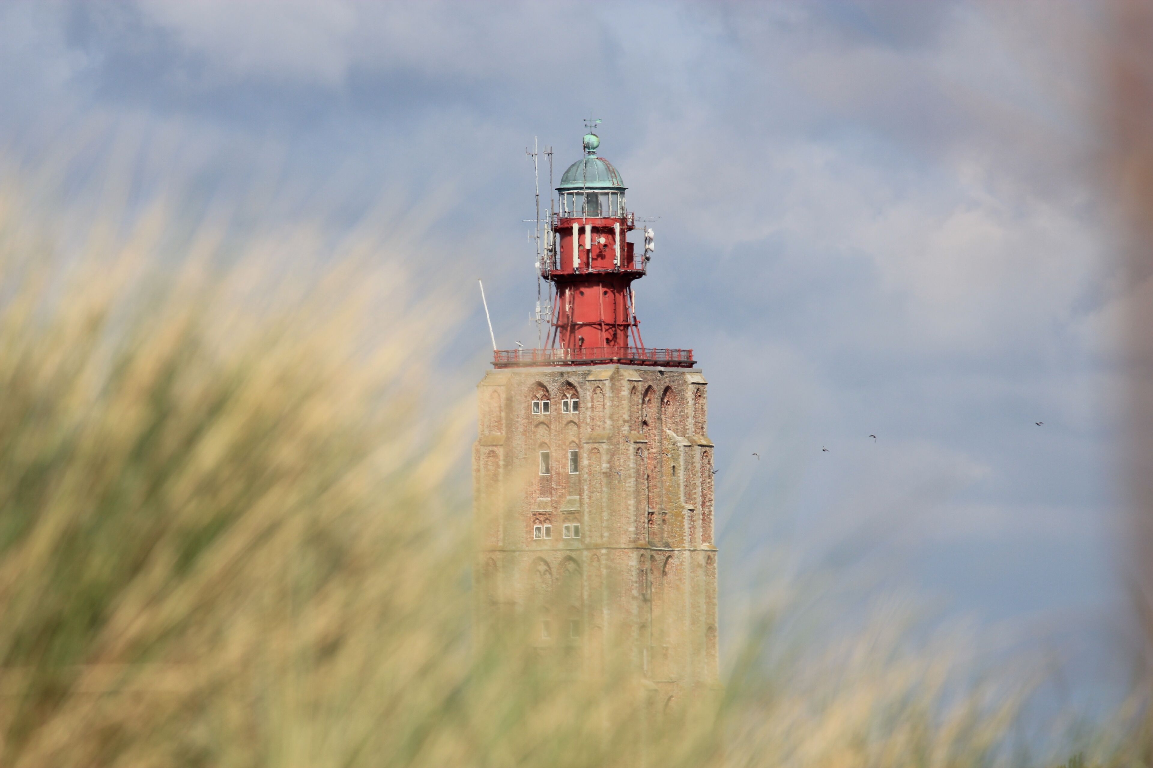 Uma torre alta de tijolos vermelhos com uma cúpula verde e um girassol no topo, cercada por grama alta.