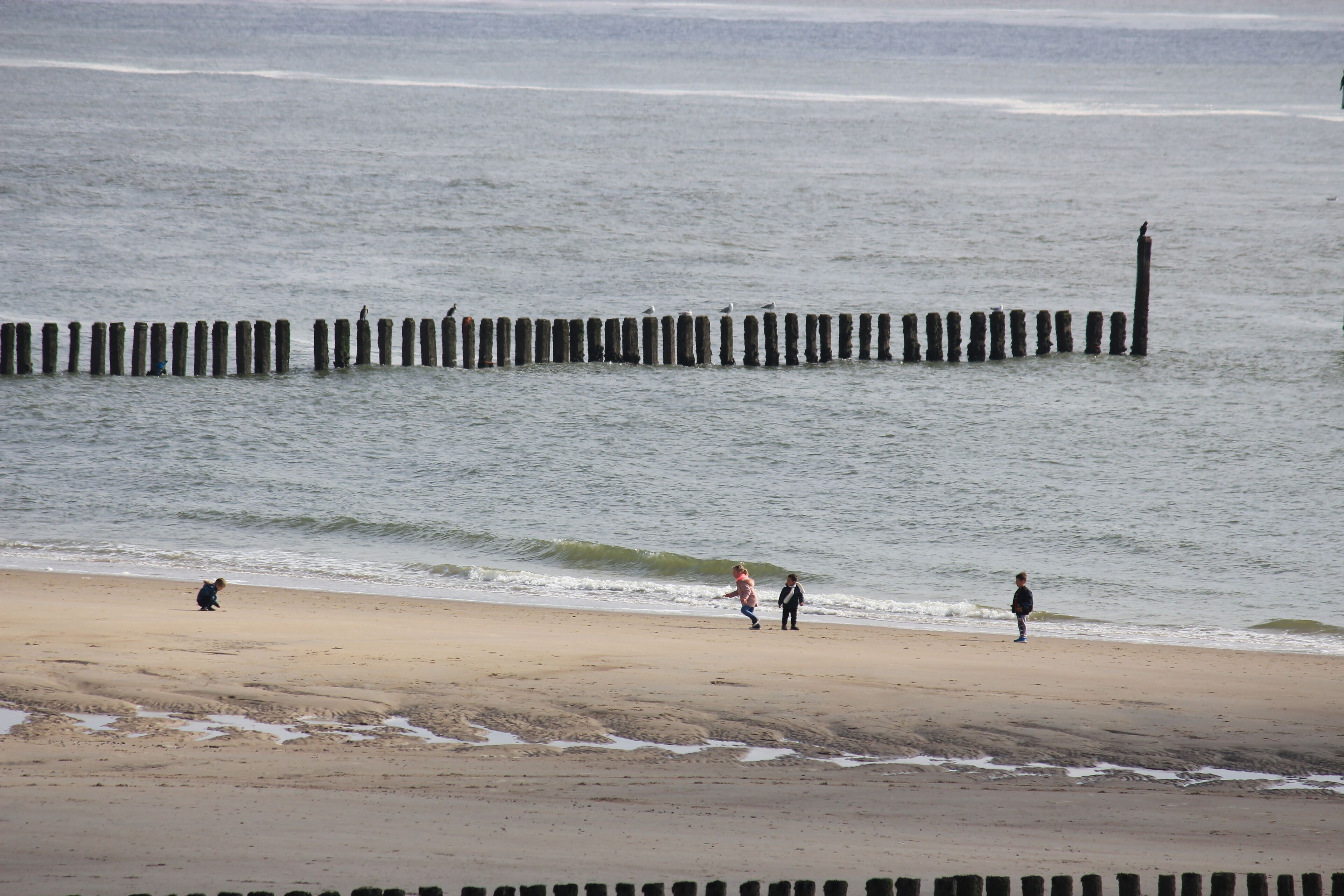A beach with a wooden breakwater and people walking along the shore.