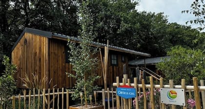Comfortable wooden cabins for rent (heating & air-conditioning).