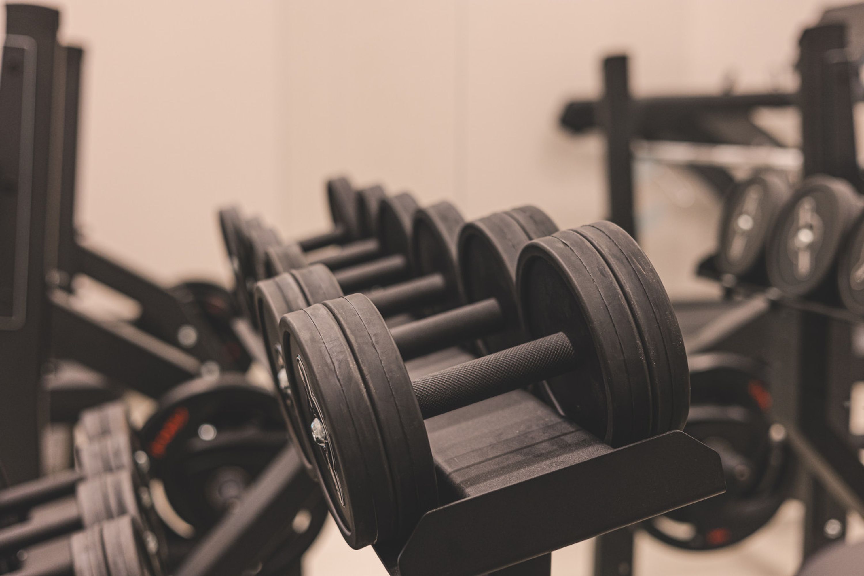 Eine Reihe schwarzer Kurzhanteln an einem Gewichtsständer im Fitnessstudio.