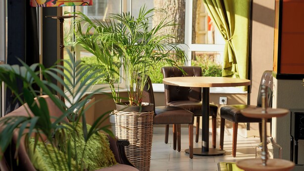 Un área de estar interior acogedora con una mesa redonda, sillas y plantas en macetas.
