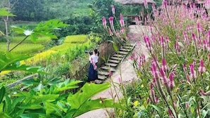 A rural setting with a thatched-roof house, a pathway leading to it, and lush greenery. - Ban Lien Homestay (Ban Lien)