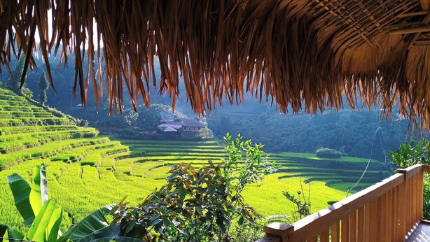 A view of terraced rice fields from a wooden balcony with a thatched roof. - Ban Lien Homestay (Ban Lien)