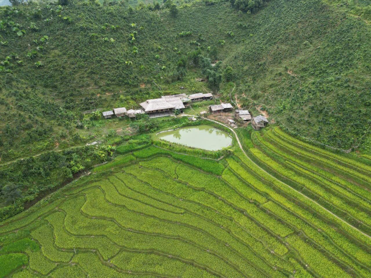 Vista aérea de campos de arroz en terrazas con un pequeño estanque y varias casas tradicionales.