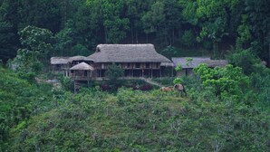 A traditional thatched-roof building surrounded by dense forest. - Ban Lien Homestay (Ban Lien)