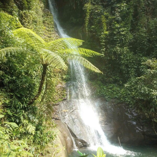 A waterfall cascading over a rocky cliff surrounded by lush greenery. - Ban Lien Homestay (Ban Lien)