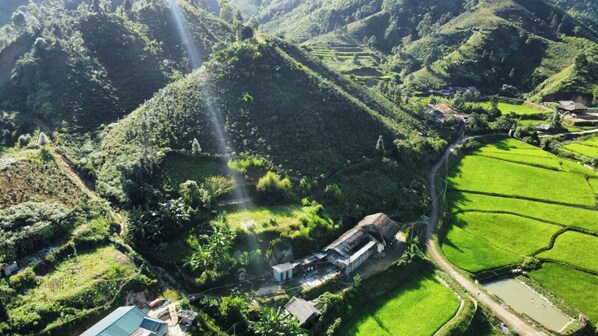 An aerial view of a terraced rice field with a building surrounded by lush greenery. - Ban Lien Homestay (Ban Lien)