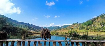 Ban Lien Homestay