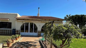 Ein Haus mit einem Ziegeldach, Schornstein und einem Garten mit Topfpflanzen und einem Kaktus.