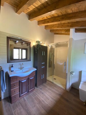 Hair dryer, towels, soap, toilet paper