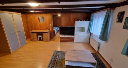 Ferienwohnung La Roche FR für 1 - 4 Personen mit 1 Schlafzimmer - Ferienwohnung