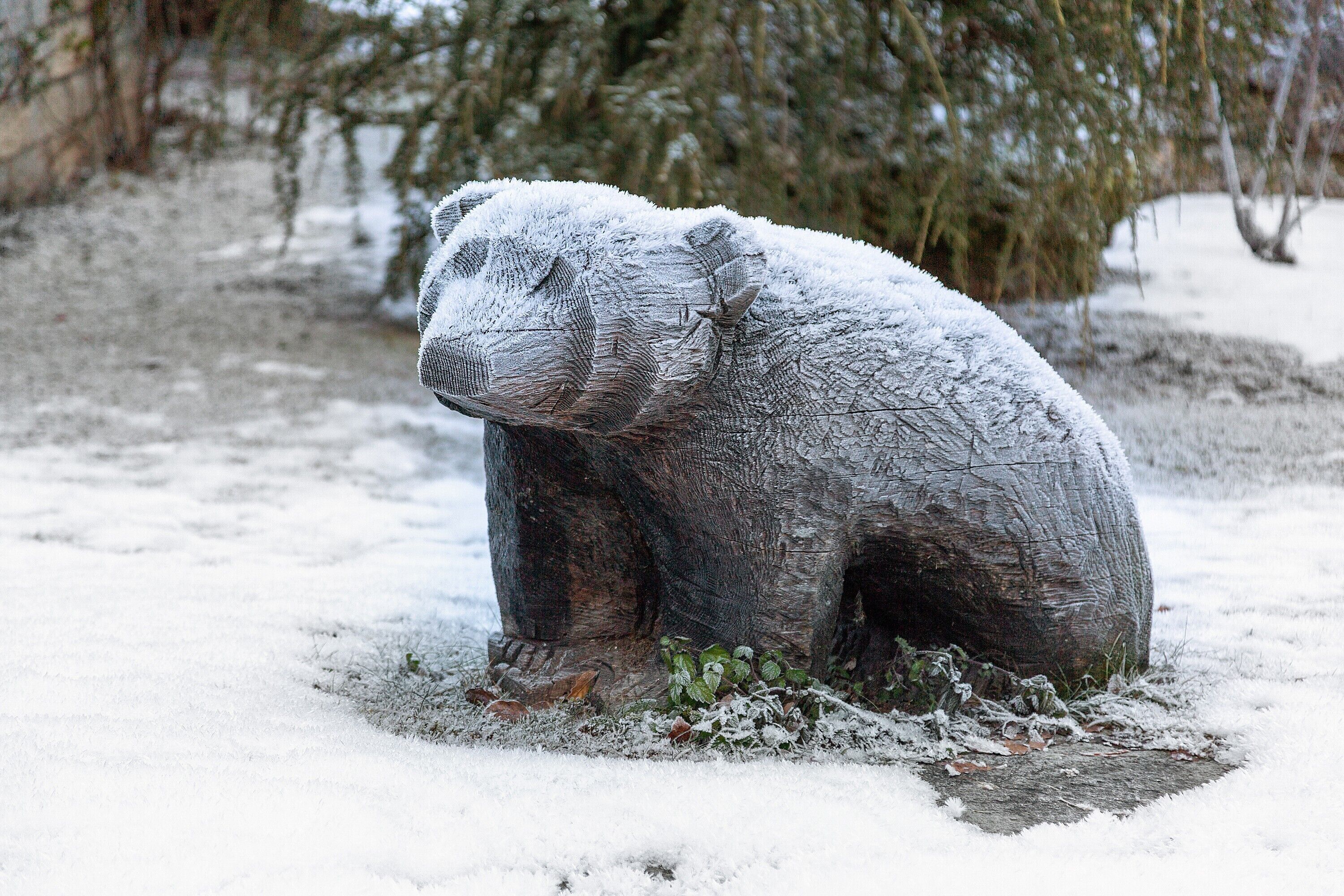 Une sculpture d’un ours recouverte de neige, placée dans un environnement naturel.