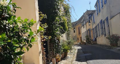 Maison médiévale calme avec Wifi et animaux acceptés