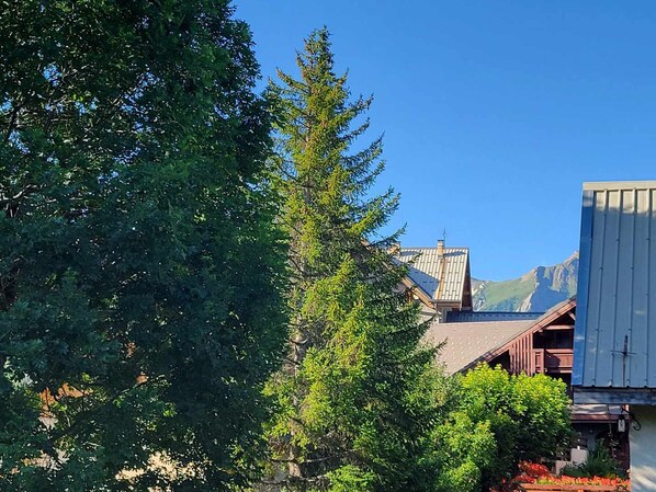 A building with a sloped roof, surrounded by dense green trees and a clear blue sky.