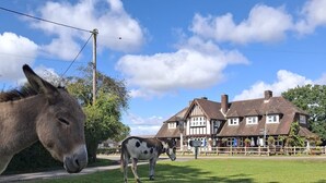 A rural setting with a large house, a donkey, and a cow grazing on a grassy field. - The Fighting Cocks  (Fordingbridge)