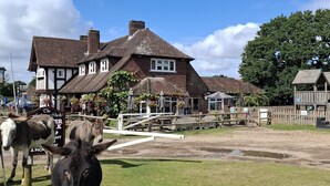 A traditional building with a thatched roof, a wooden fence, and a grassy area with a donkey in the foreground. - The Fighting Cocks  (Fordingbridge)