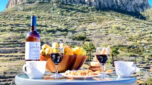 Une table avec une bouteille de vin, un saladier de fruits et deux verres de vin rouge, le tout placé devant un paysage composé d’une colline rocheuse et d’un ciel bleu clair.