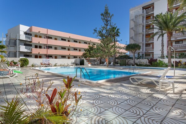 Un hotel con piscina, sillas de descanso y una palmera.