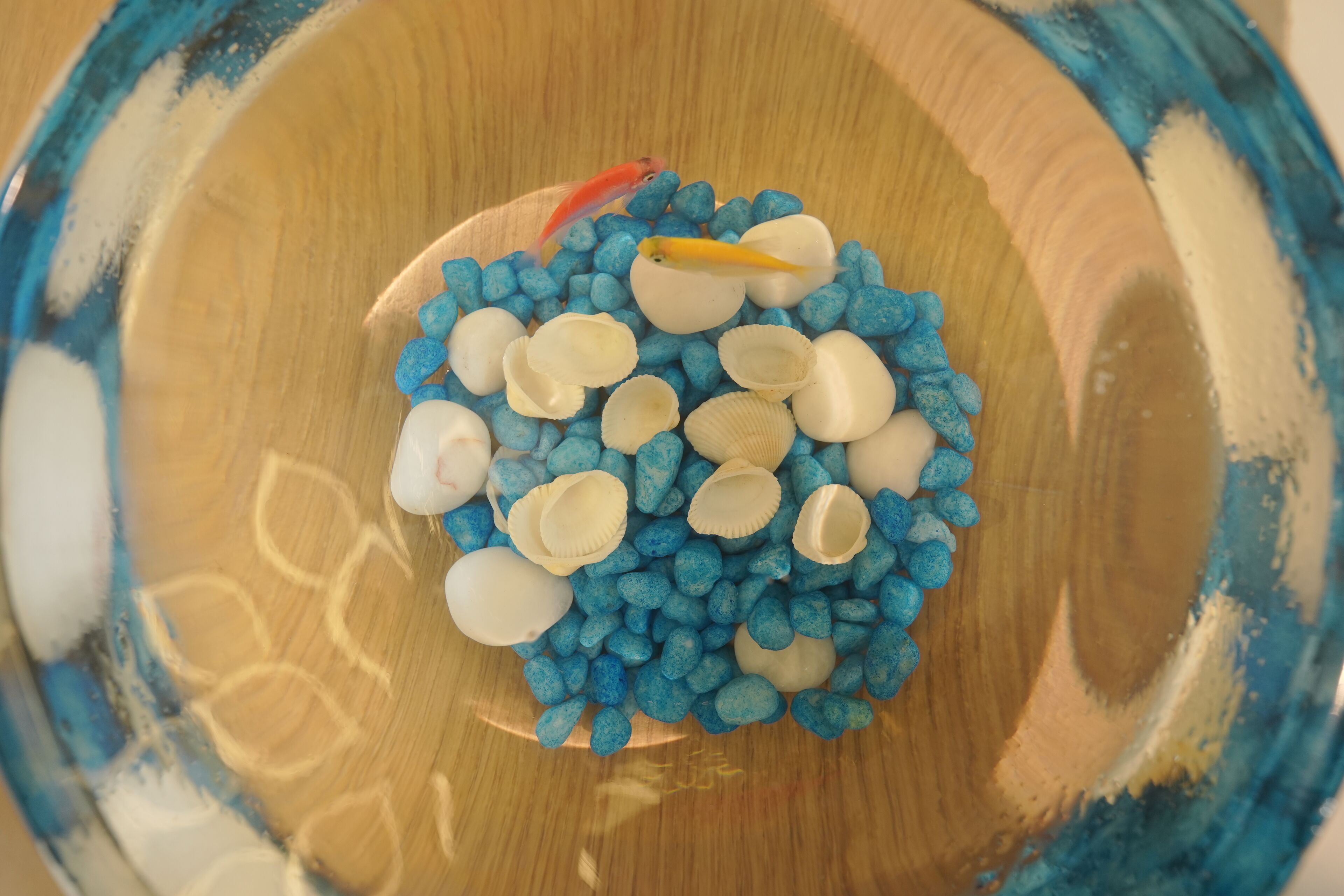 A bowl filled with blue and white pebbles and a few fish.