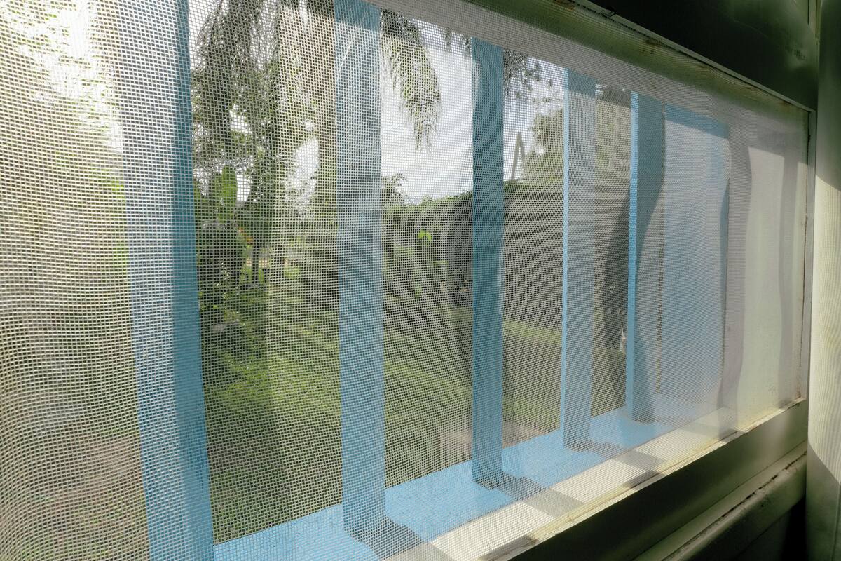 Una ventana con mosquitera que muestra árboles y un cielo despejado.