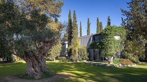 Una casa moderna con un gran árbol en primer plano, rodeada de un jardín cuidado y árboles altos.