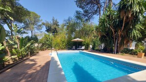 Una piscina rectangular con borde de azulejos, rodeada por una terraza de madera y exuberante vegetación.