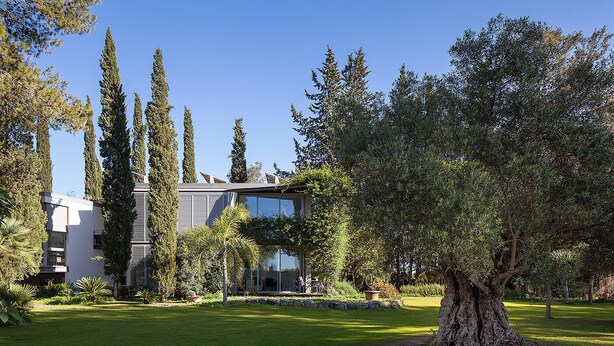 Un edificio moderno con fachada de vidrio, rodeado por un jardín bien cuidado con árboles altos y un árbol grande en primer plano.