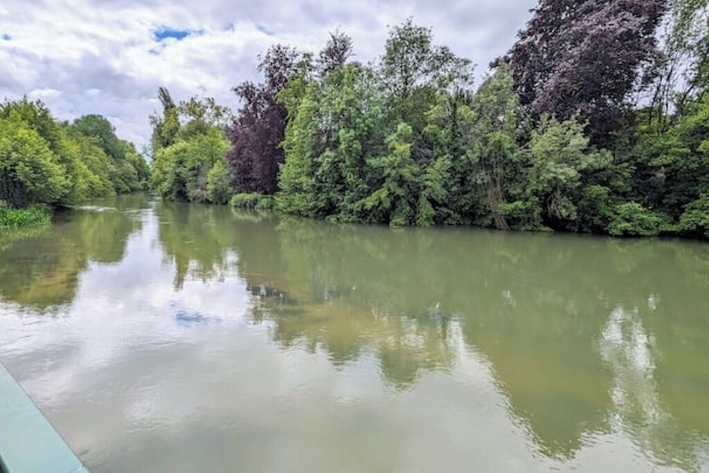 Un río flanqueado por árboles frondosos.