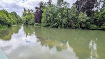 Un río flanqueado por árboles frondosos.