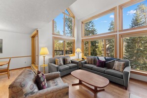 Smart TV, fireplace, books