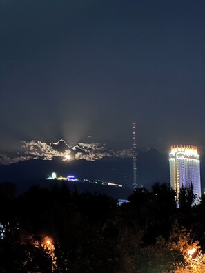 Unclassified image, 4 of 25, button - Almaty’s Iconic Area with Scenic View. (Almaty)