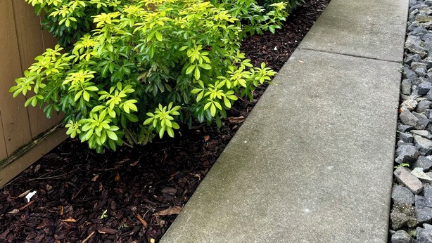 Uma cerca de madeira com arbustos verdes e um caminho de concreto.