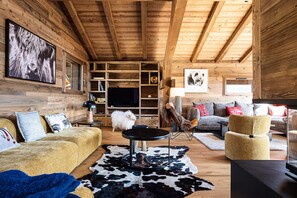 Televisión, chimenea, libros