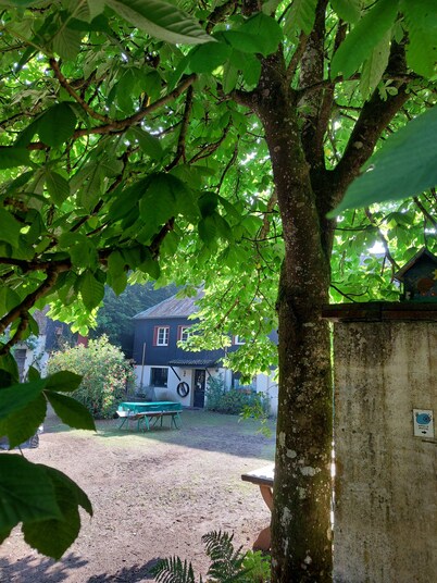 Neumühle vacation apartment with roof terrace, located in the Üßbachtal valley in the nature reserve 