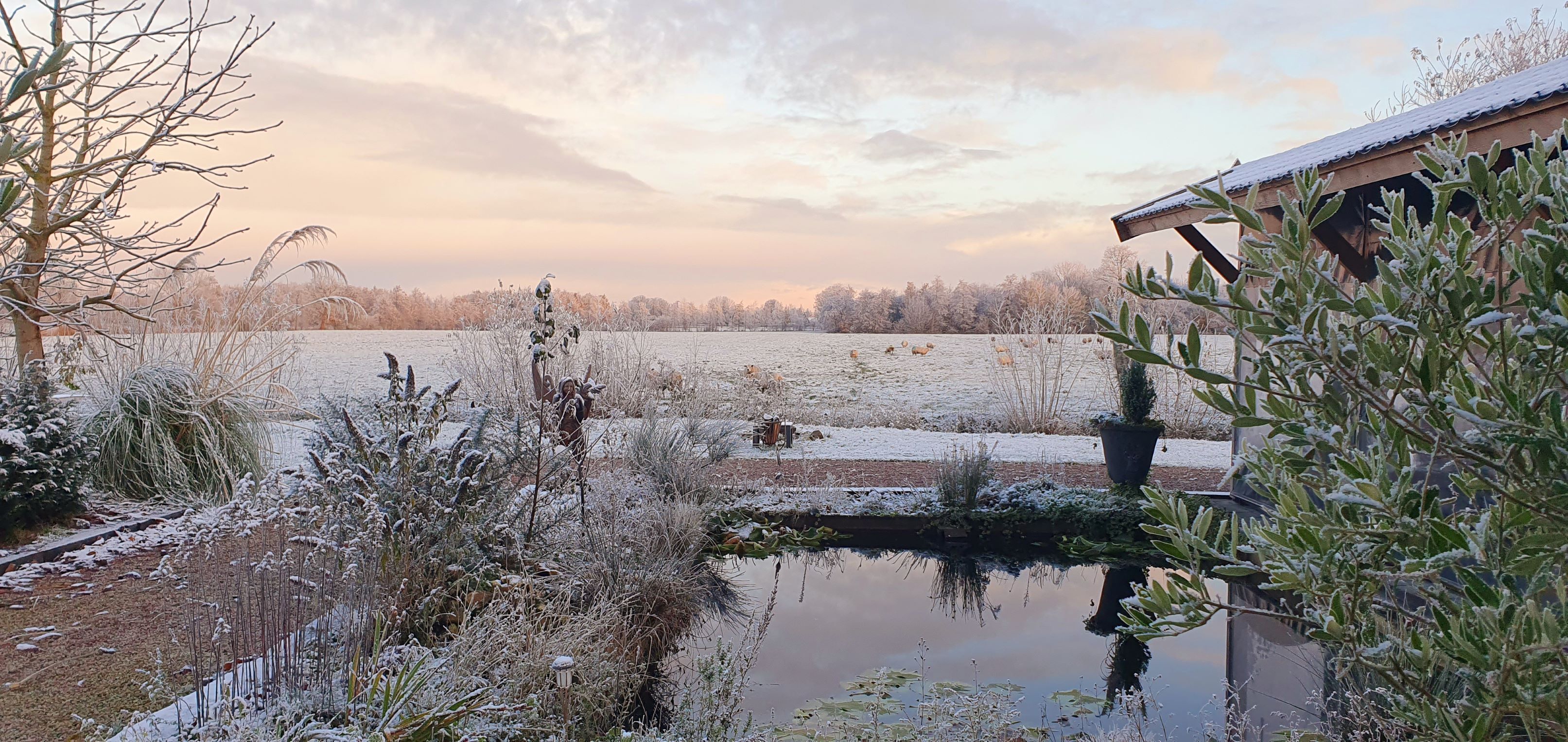 Un paysage hivernal paisible, avec un étang gelé, des arbres sans feuilles et un bâtiment rustique en arrière-plan.