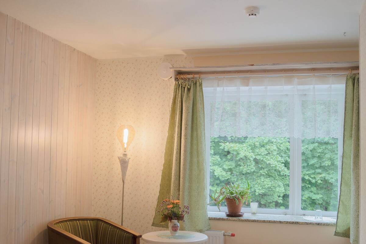 A room with two beds, a chair, a table, a radiator, a window with curtains, and a potted plant.