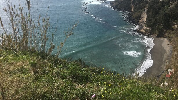 A coastal landscape with a beach, rocky cliffs, and vegetation. - Water from Alto Main House (Água de Alto)