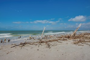 Enjoy a serene beach experience with gentle ocean waves and unspoiled surroundings.