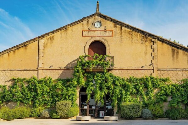 Winery - Château la Beaumetane (Lancon-Provence)