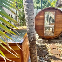 A wooden cabin with a glass door, surrounded by a pool and tropical plants.
